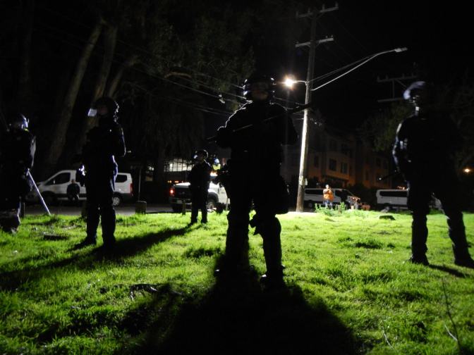 Police at night on grass